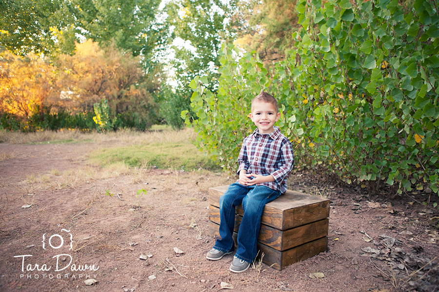 Professional Child Portraits