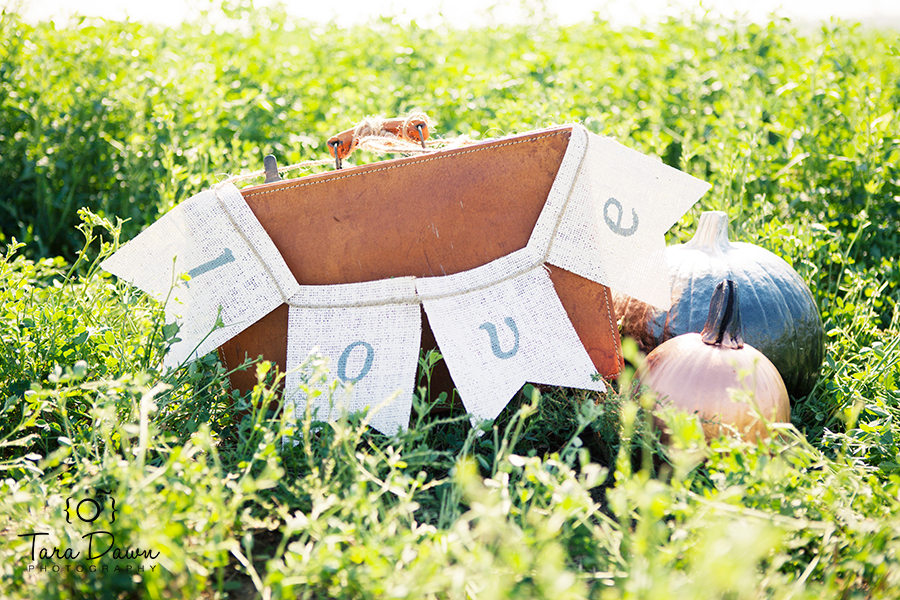 engagement Photographer slc Utah