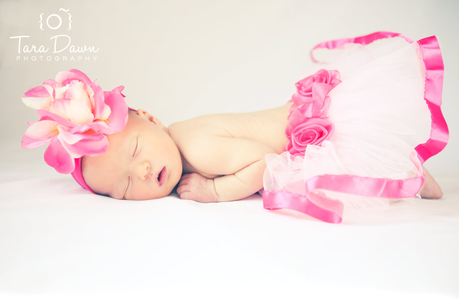 newborn photographer