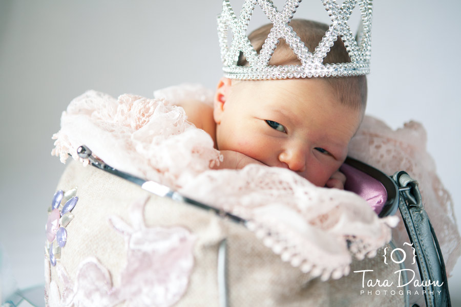 Newborn Photography Utah