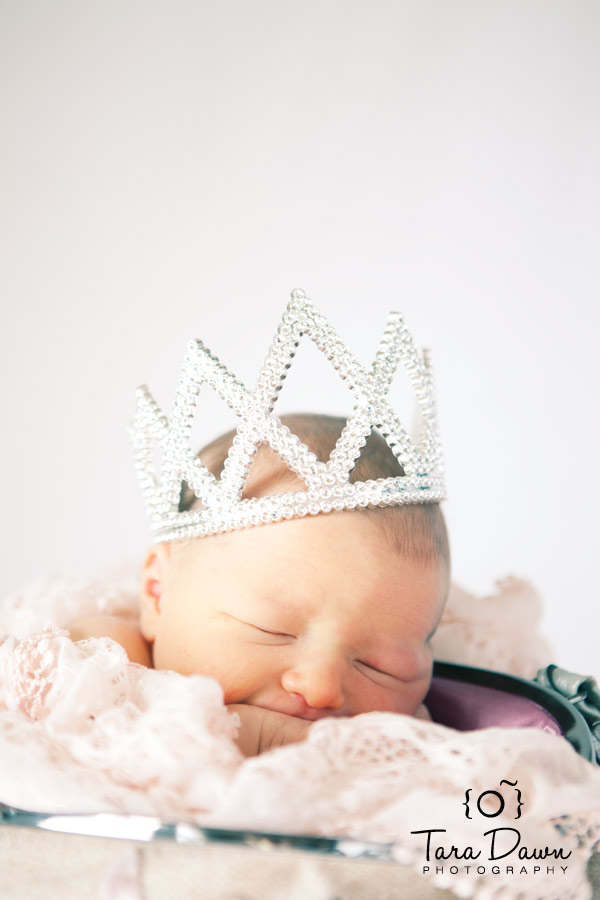 Professional Newborn Photography