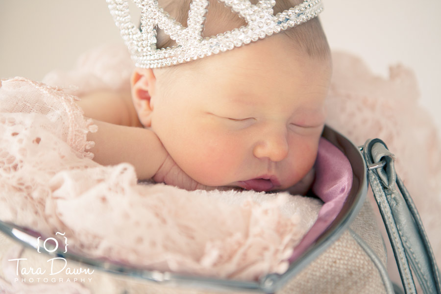 Newborn Photography Utah