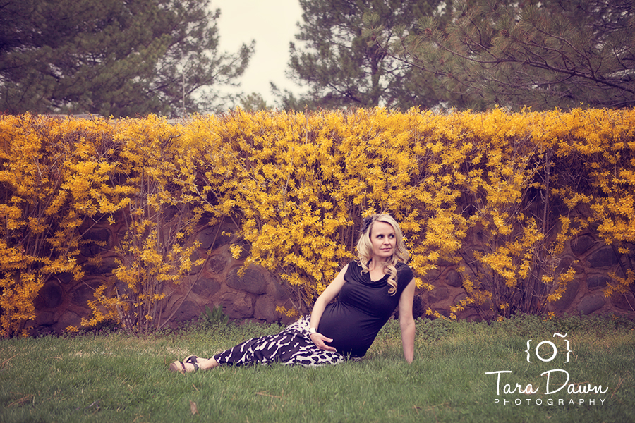 maternity photographer
