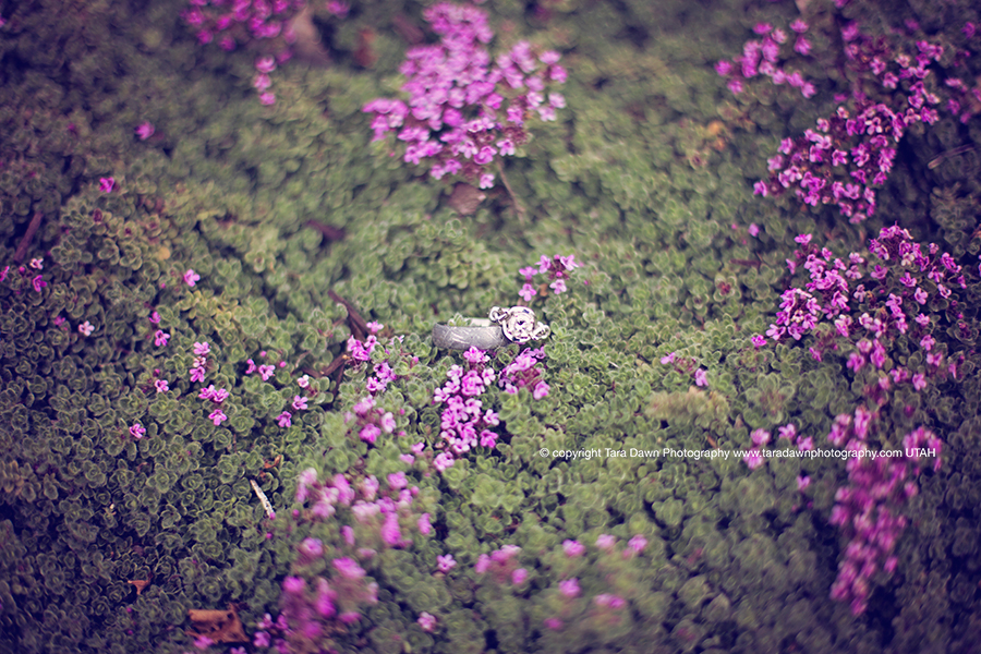 engagement photographer