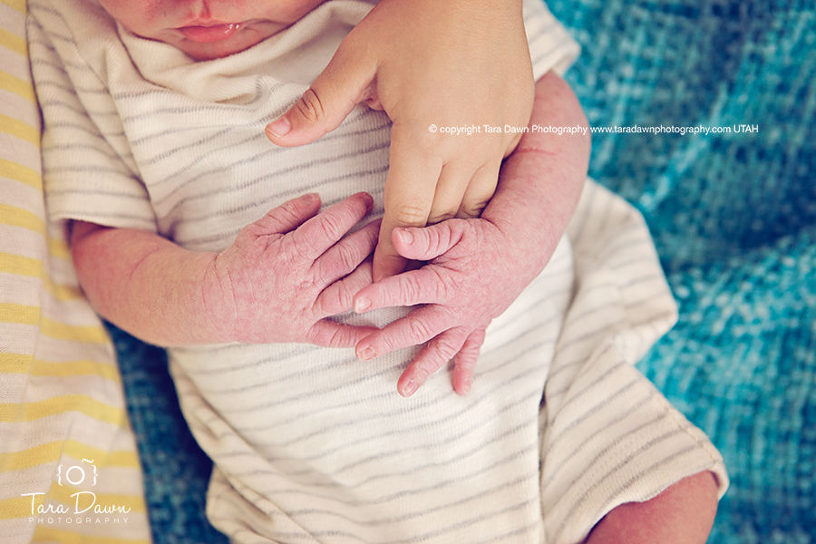 newborn photography