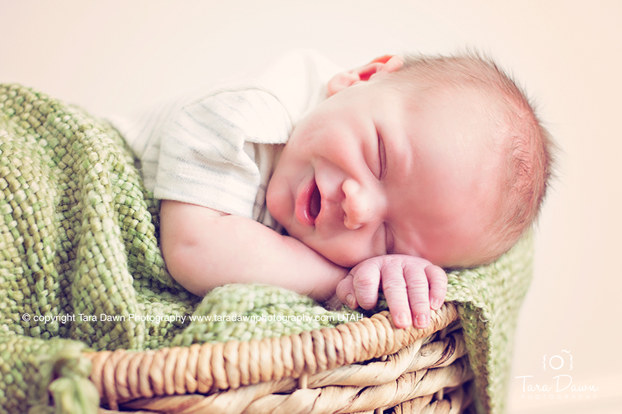 newborn photographer