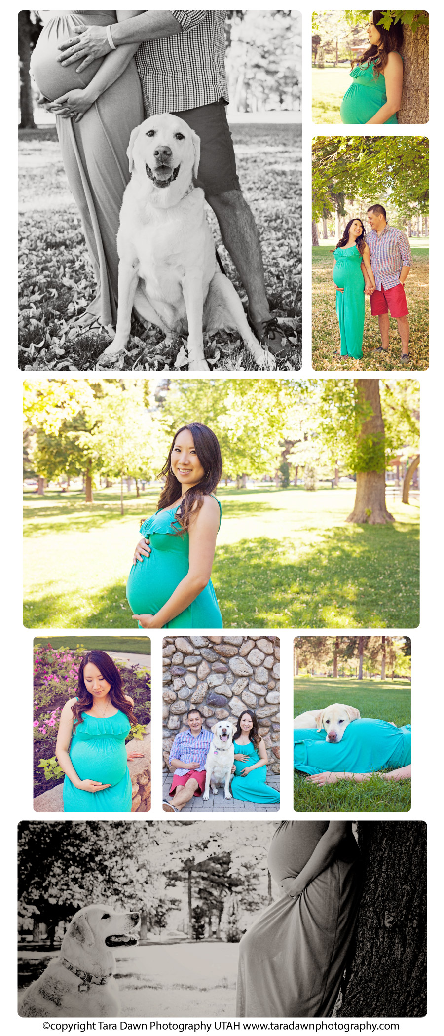 pet_maternity_outdoor_photography