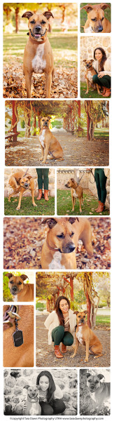 saltlakecity_pet_outdoor_photographer