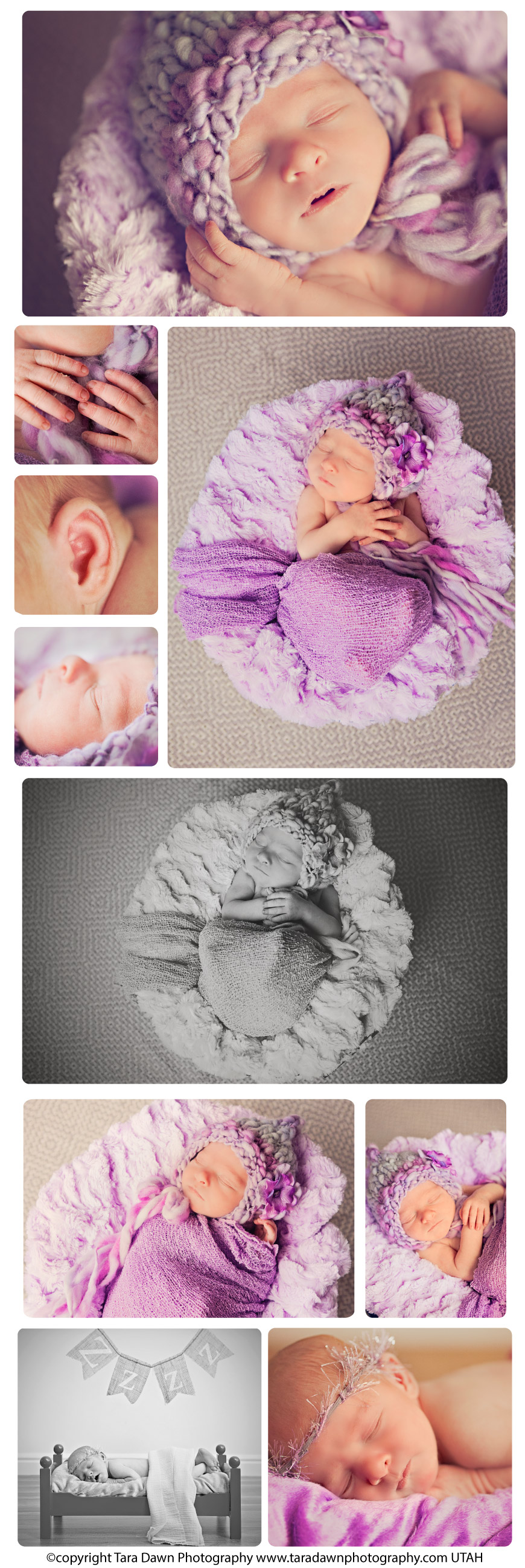 utah_newborn_photographer_studio