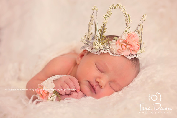 Utah Newborn Photographer