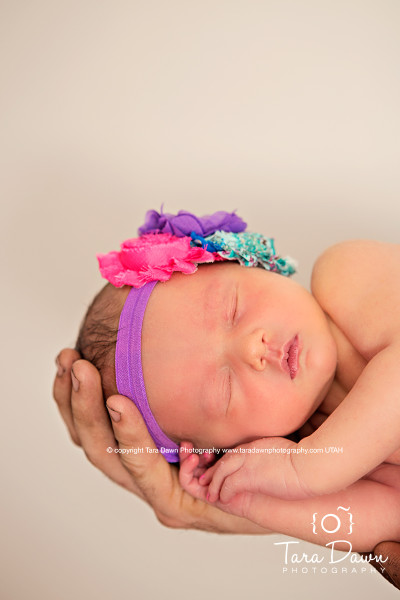 Utah Newborn Photographer