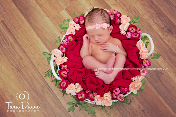 Utah Newborn Photographer