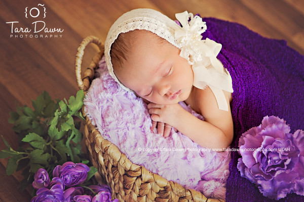 Utah Newborn Photographer