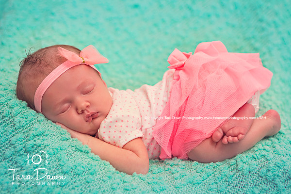 Utah Newborn Photographer