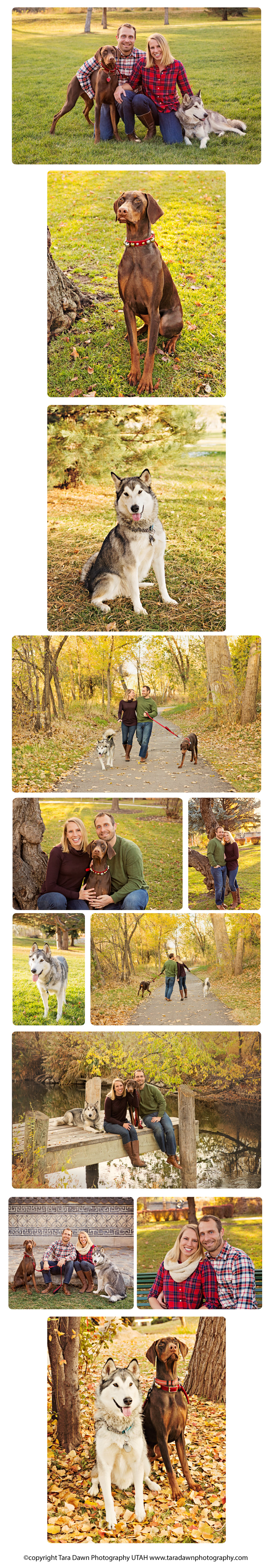 utah_pet_photographer_family