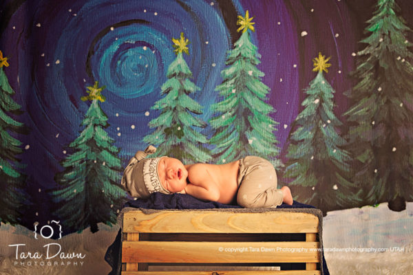 Utah_maternity_newborn_photographer-n