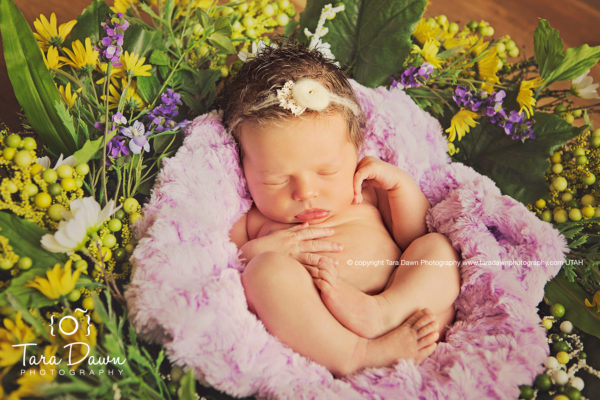 Utah_maternity_newborn_photographer-z5