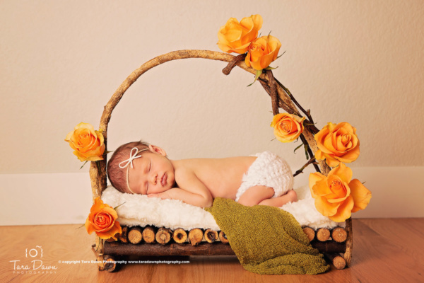 Denver_Family_Newborn_Photographer_Studio-11