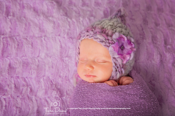 newborn pics