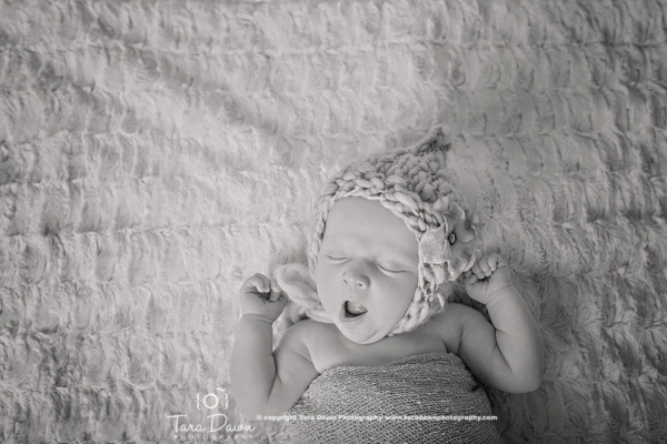 newborn photographer