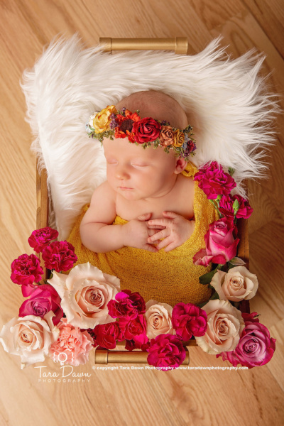 newborn flowers