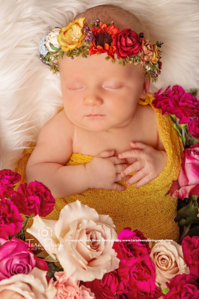 newborn pictures